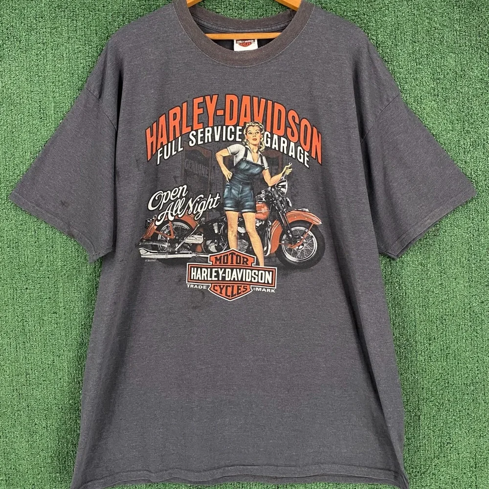 Harley-Davidson Gray Graphic T-Shirt